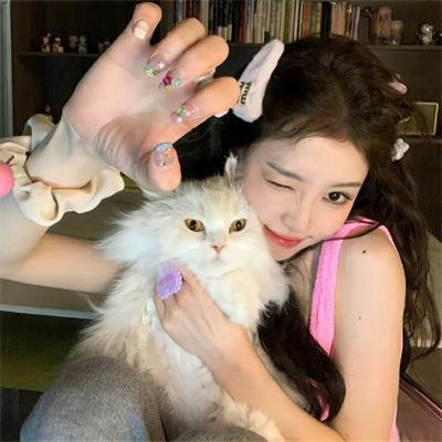 阿黛拉的非凡冒险